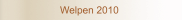 Welpen aktuell